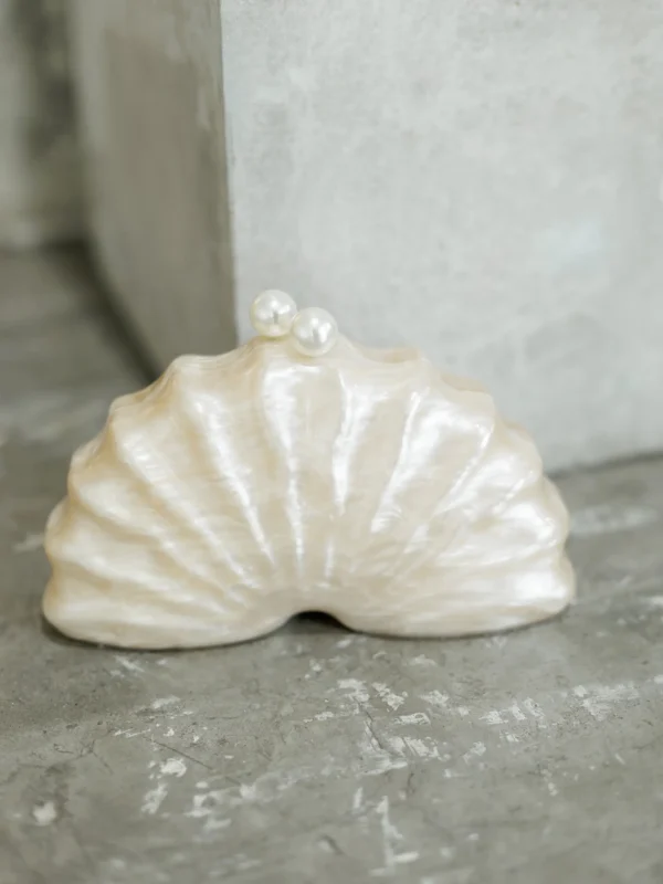 The Mother of Pearl Bag